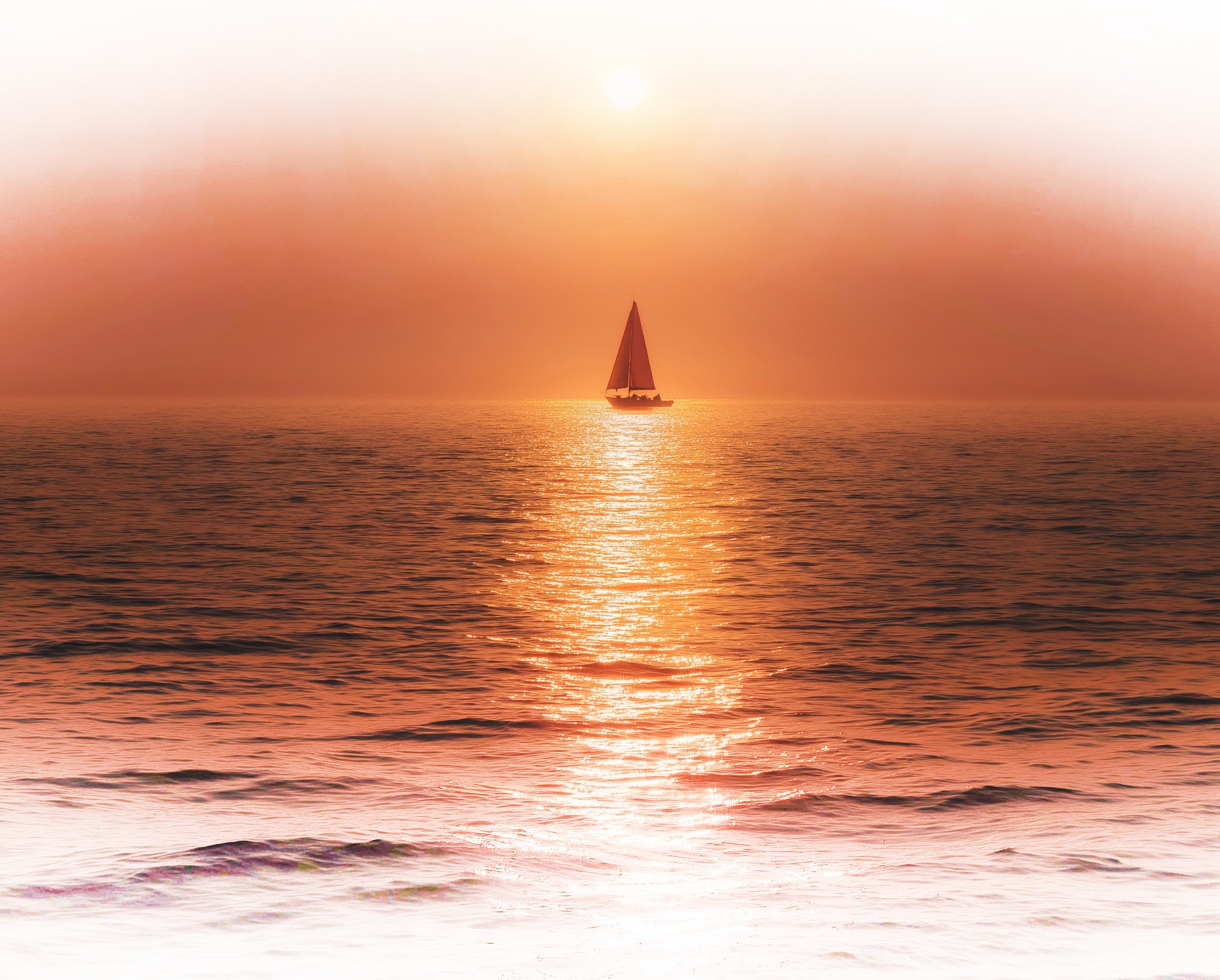 Professional background 1